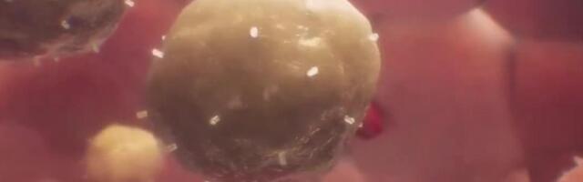 VIDEO | poole miljoni eest vähist terveks. Kuidas töötab uus geeniteraapia?