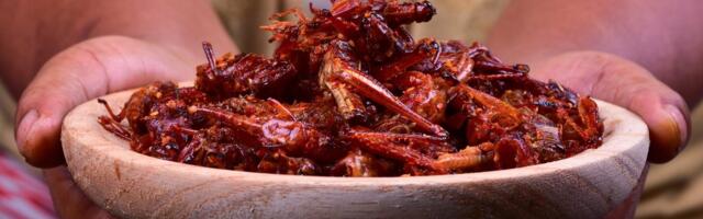 UNUSTAMATUD TOIDUELAMUSED | See söögikord juba meelest ei lähe!