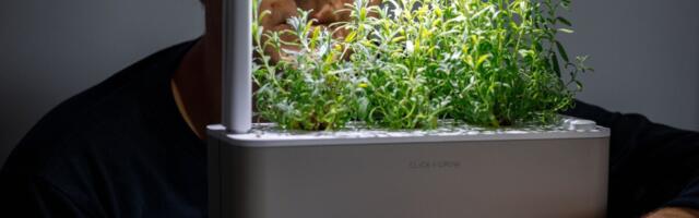 Majandustulemused | tarkade taimepottide tootja kahjum kasvas