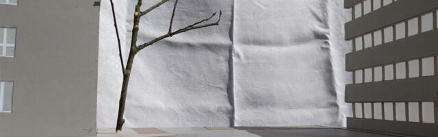 Linn tundlikule meelele