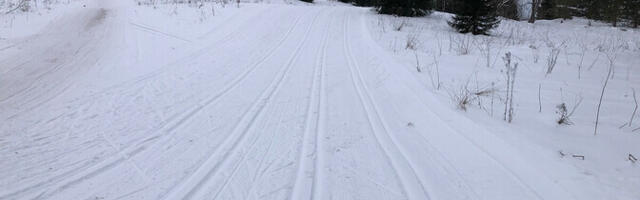 Tartu Maraton toimub täies pikkuses originaalrajal