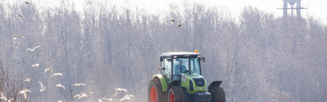 Palju kära eimillestki: põllumajandus õitses ka ilma ukrainlasteta