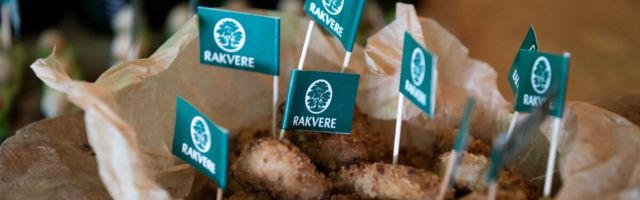 Tugev jaemüük ning edu kaubanduses aitas HKScani kasumit parandada