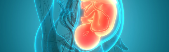 Eestis tapeti mullu emaüsas 3772 last