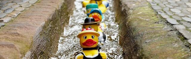 Karol Kallas: Kaja Kallas võib olla Ameerika Ühendriikide süvariigi sõjapartei käsilane