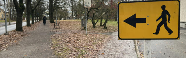 Tartus Taara puiesteel remonditakse kõnniteed