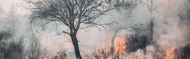 Päästjad said Valgamaalt kolm väljakutset