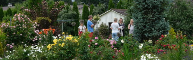 GALERII | Kärdlas avati külastajatele kaunid aiad