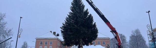 Talvepealinn Otepää sai jõulupuu