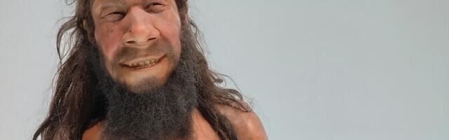 Idaneandertallased elasid väikseisse rühmadesse killustunult