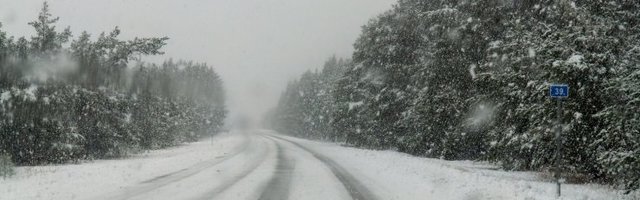 Torm räsib Lääne-Eestit, päästjad koristavad järjepanu murdunud puid