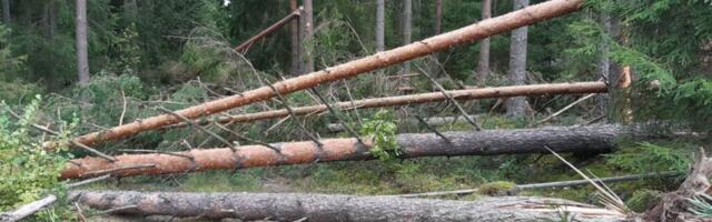 Päästeamet hoiatab: päeva jooksul tõuseb tuul kohati tormivääriliseks, oodata on elektrikatkestusi