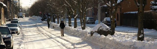 Tartu LV: Talihooldusega seotud probleemidest tuleks teavitada piirkonna teenusepakkujaid