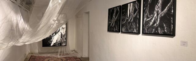 Igatsus ja soov hajuda