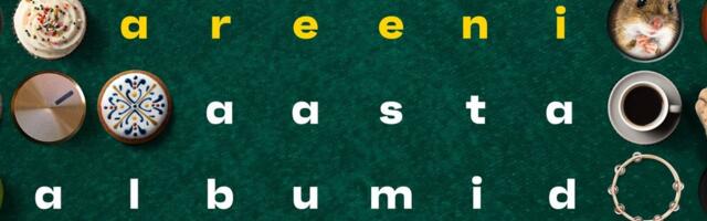 AREENI AASTA ALBUMID 2025 | Žüriiliikmete isiklikud lemmikplaadid