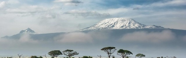 Ott Tänak: Safari rallil on lõpetamisel rohkem kaalu kui kiirusel