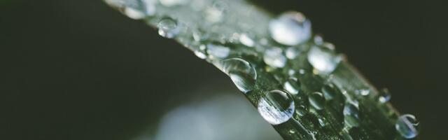 Tänasest saab esitada ettepanekuid Tartu linnapiirkonna elukeskkonna arendamiseks