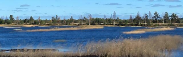 Hiiumaal korrastas turbatootja 248 hektari suuruse endise kaevandusala