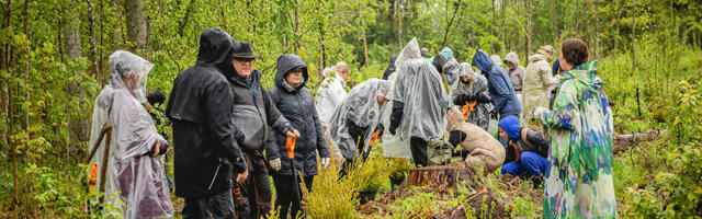 Üle 600 inimese harjutas kätt metsakasvatajana