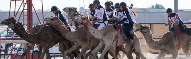 Estonian Laura Ezzat victorious in camel race