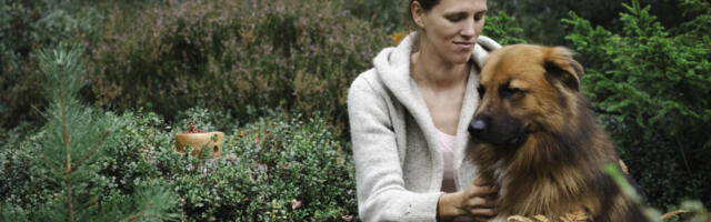 UUS KUTSUMUS | Saaremaalt saadud puuk jättis Viive-Kai paikseks