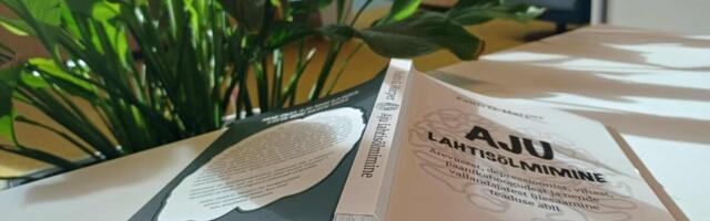 RAAMAT: miks aju tuksi läheb ja kuidas see jälle korda teha