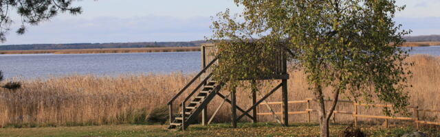 Silmale võib kerkida uus vaatetorn