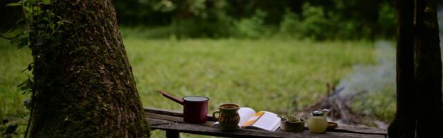 Raamat, mida sul loodetavasti kunagi vaja ei lähe (aga mida peaks siiski lugema)