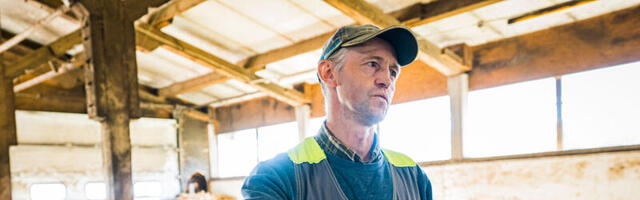 Lepiku Farm valiti Eesti parimaks taluks