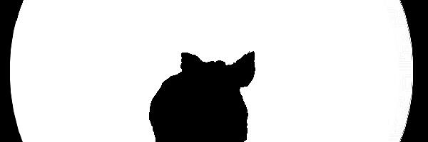 🐖 SIGA TULIHOBUSE AASTAS 2026 – NAUTIMISE, PIIRIDE JA TEADLIKU KÜLLUSE AEG