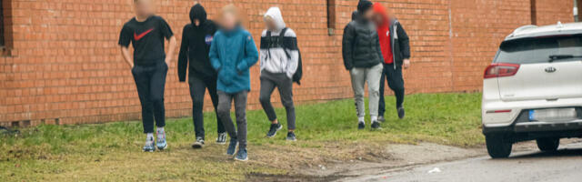 Noorte vaimne tervis paraneb, kui viia nad barrikaadidelt minema ja lõpetada inimkatsed nende kallal