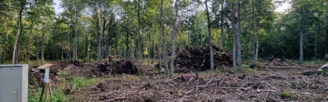FOTOD | Tabasalus võidi toime panna ebaseaduslik raie