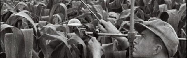 Prohvet, kes võinuks olla kuulsam