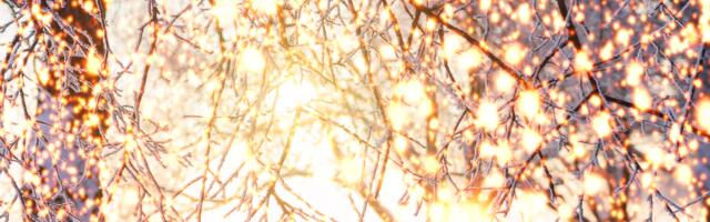 Päevahoroskoop : laupäev, 29. november