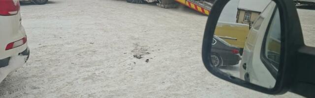 PILTUUDIS: Täna Võrust uudiseid ei tule