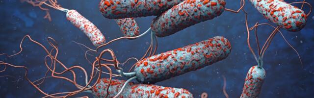 Ametnikud: Ukrainas võib koroona kõrval tõusta ka teiste nakkushaiguste juhtude arv