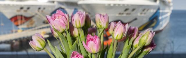 Neljapäeval konverents "Meditsiini Update 2022"