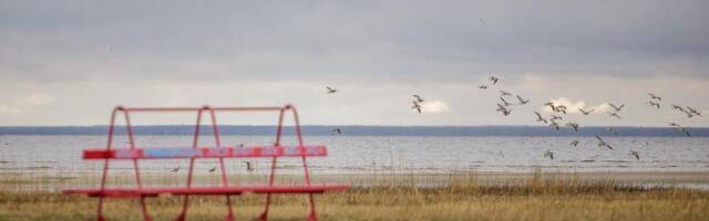 Pärnu randade vee kvaliteet halveneb, üks plaažidest tuleb sulgeda