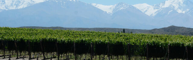 Kadri Kroon: Argentina veinijõed ja lihamäed