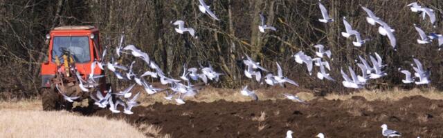 Tutvu PRIA uue elektroonse põlluraamatuga