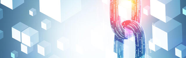 Plokiahela rakendamine raamatupidamises: arusaamade erinevused ja strateegiad koostööks raamatupidajate ning tarkvaraarendajate vahel