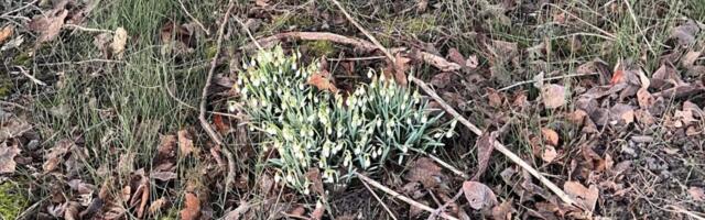 AHTO ILMAJUTUD | Külm meri hoiab ilma jahedana