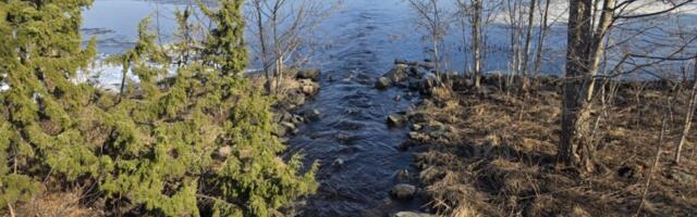 KEVAD TULI VARAKULT | Hiiumaal sulas lumi märtsi esimestel päevadel