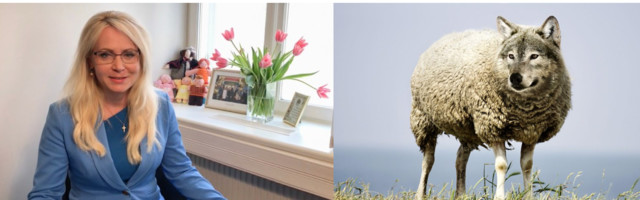 Nädala meem. Hunt lambanahas & ühiskonna lõhestaja