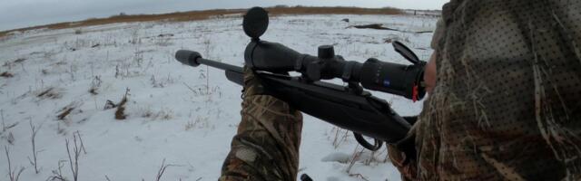 Reporter: Maarja Jahikoda korraldas Pärnumaal kuningliku jahi