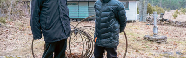 Sõbrad, kes toidavad üksteist