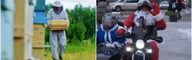 "Инсайт": ДНК-тест для меда и байкеры, раздающие детям новогодние подарки