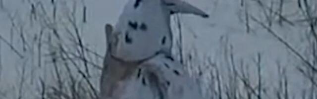 VIDEO | Vene armee riietas oma sõduri Ukrainas pingviiniks. Päris halb see mõte siiski pole