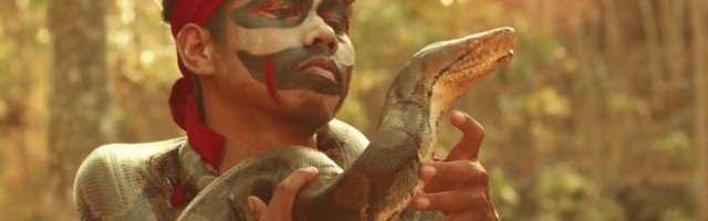 Reporter: Kuidas tekkis Indoneesia vihmametsas ülesvõtud «Jõulud džunglis» filmi lumi?