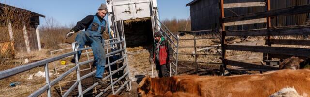 Eesti majandus langes oodatust kergemalt